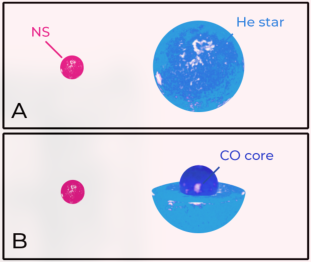 Panel AB
